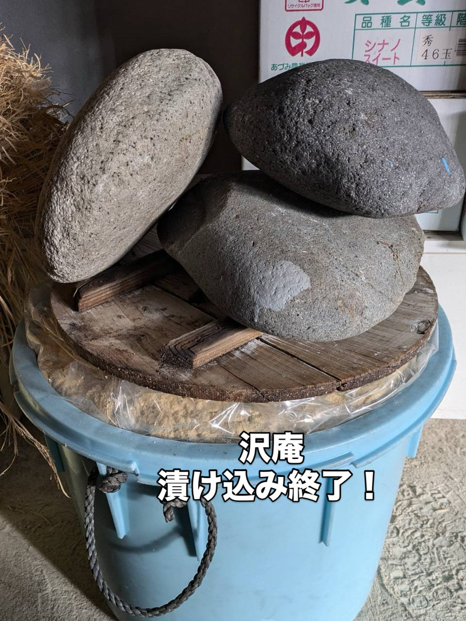 重石を乗せて！