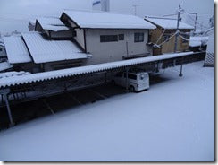 松本も雪が降りました。