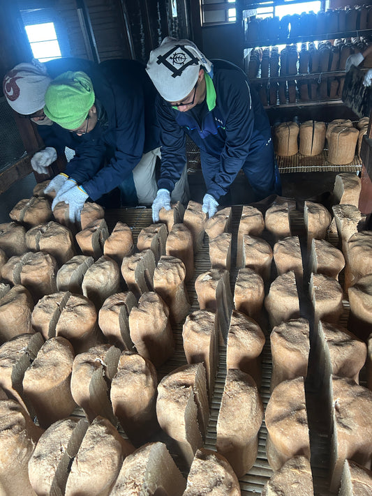 味噌玉を並べる！