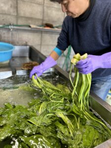 合間を縫って野沢菜漬