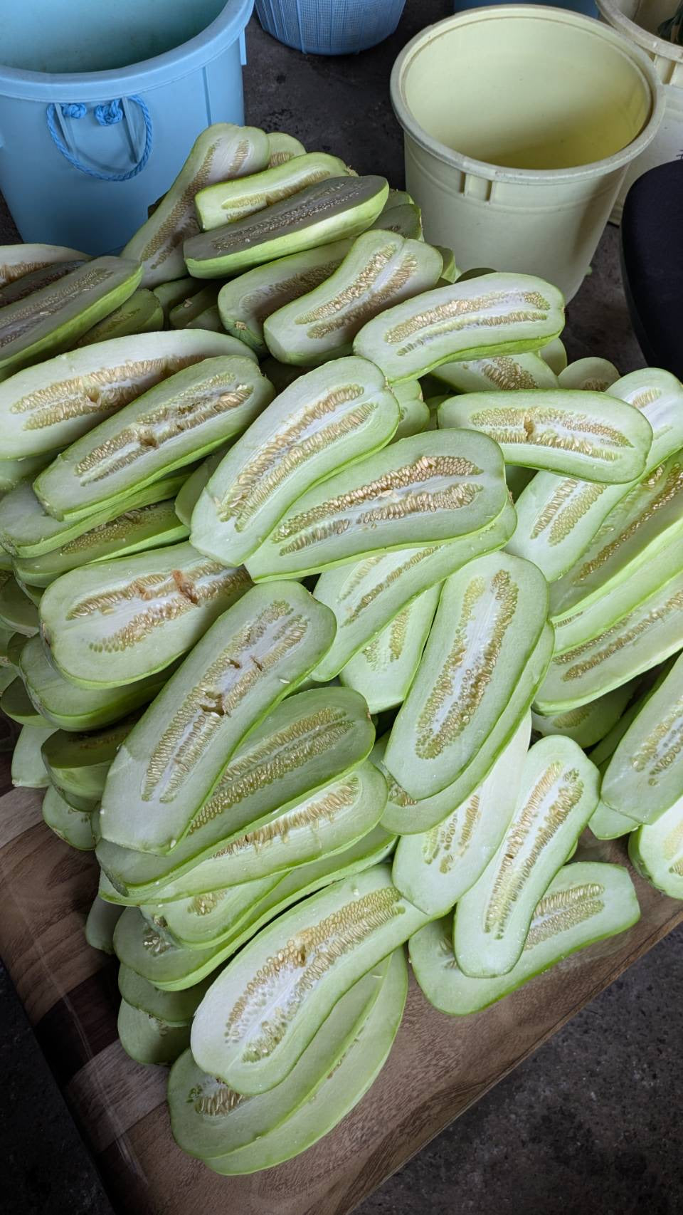 信州の伝統野菜