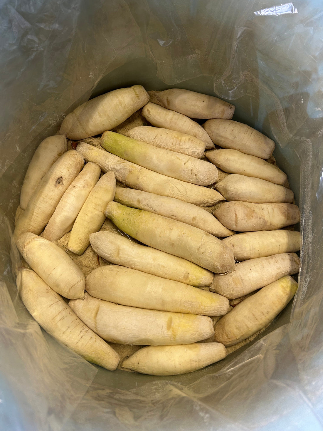 たくあんの漬け込み