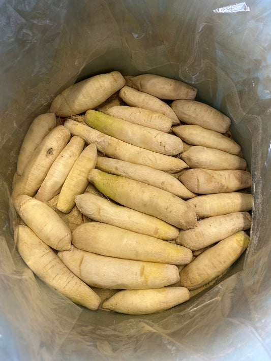 たくあんの漬け込み