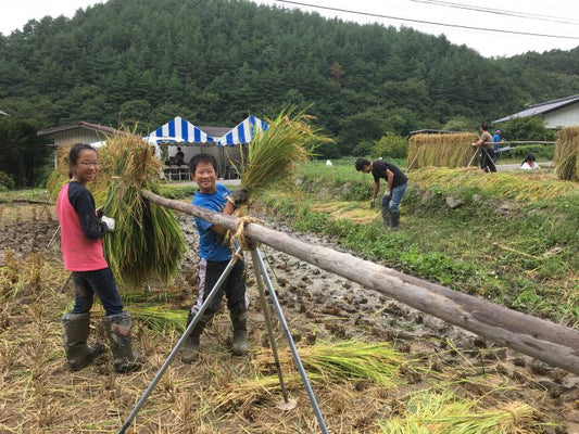 棚田オーナー ２　はぜかけ編