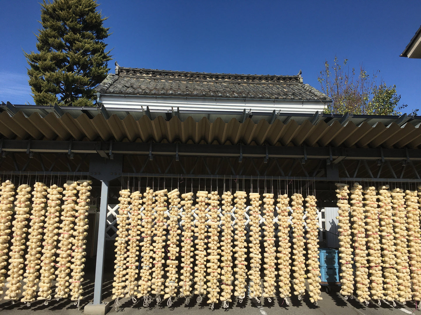 本漬たくあん